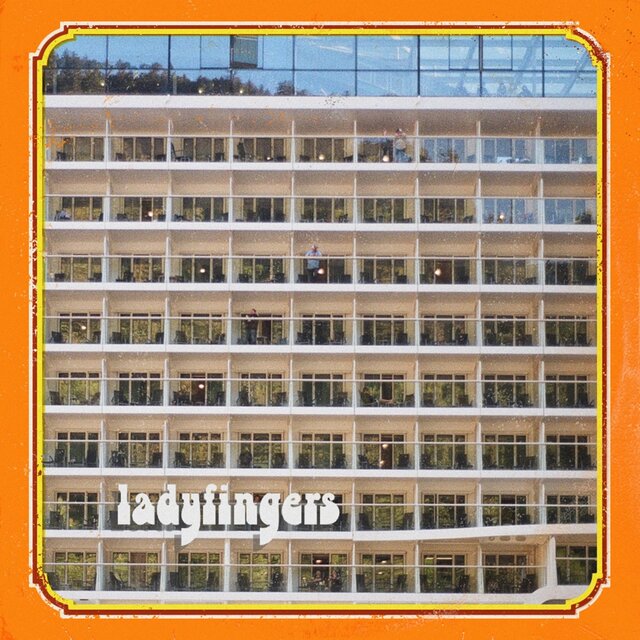 ladyfingers