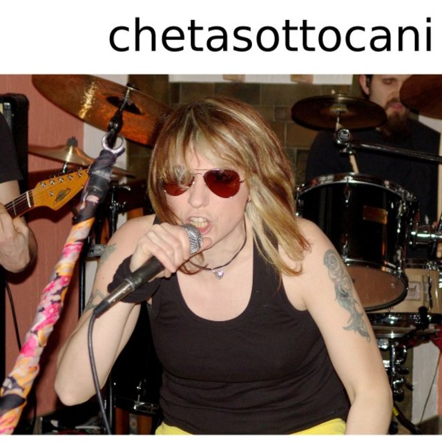 Sottocani