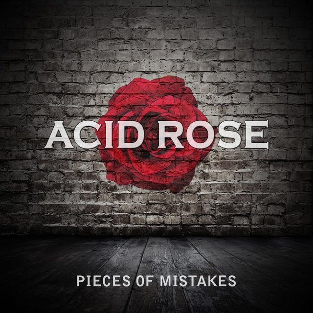Pieces of Mistakes