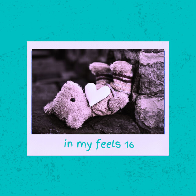 In My Feels 16