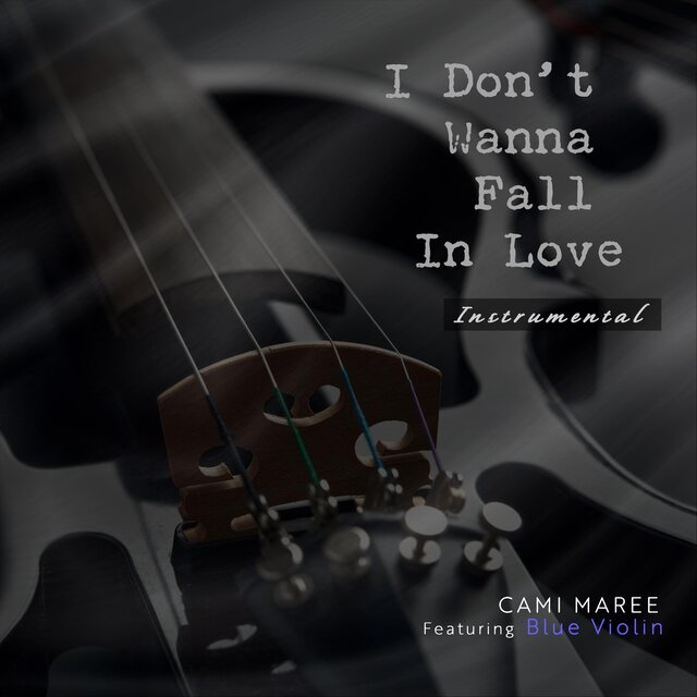 I Don't Wanna Fall in Love (Instrumental)