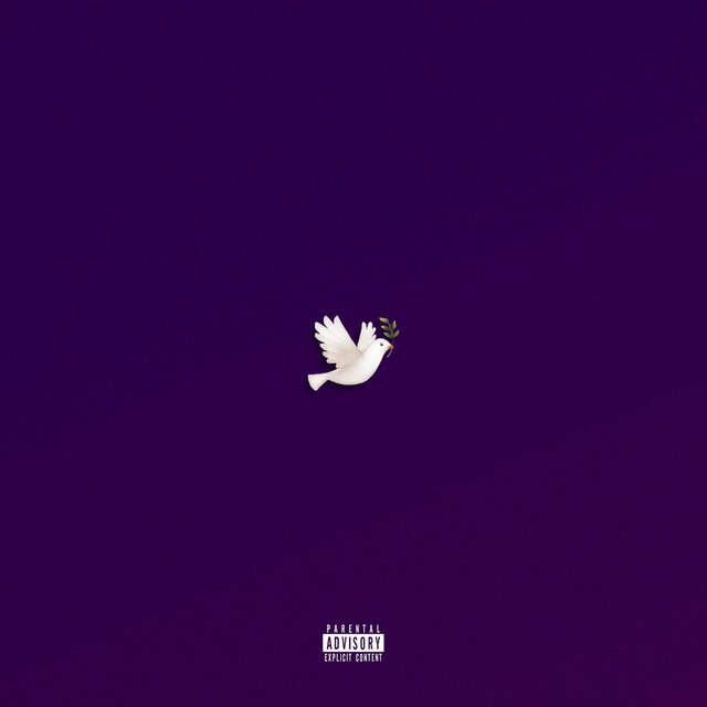 Vibe