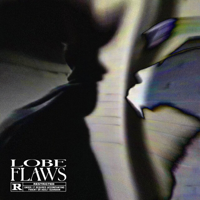FLAWS