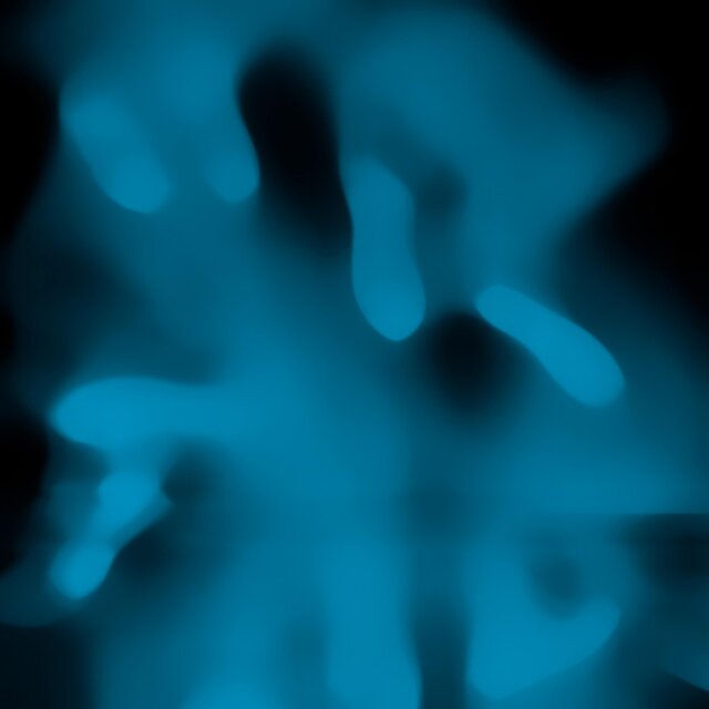 We