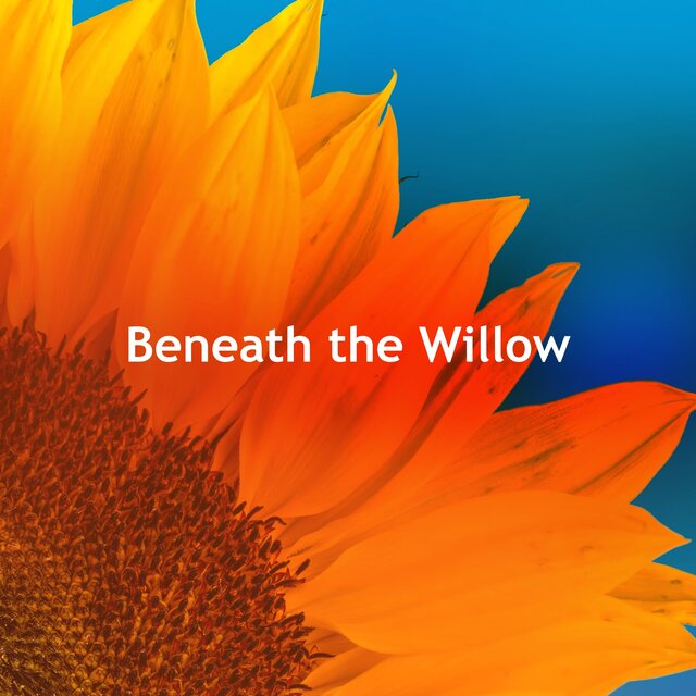 Beneath the Willow