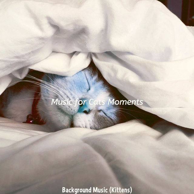 Background Music (Kittens)