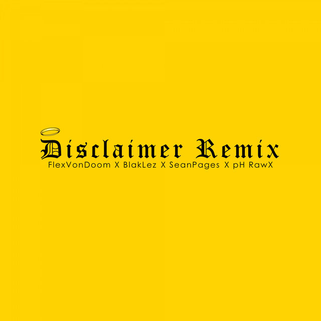 Disclaimer (Remix)