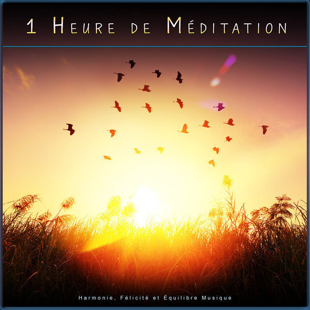 1 Heure de Méditation: Harmonie, Félicité et Équilibre Musique