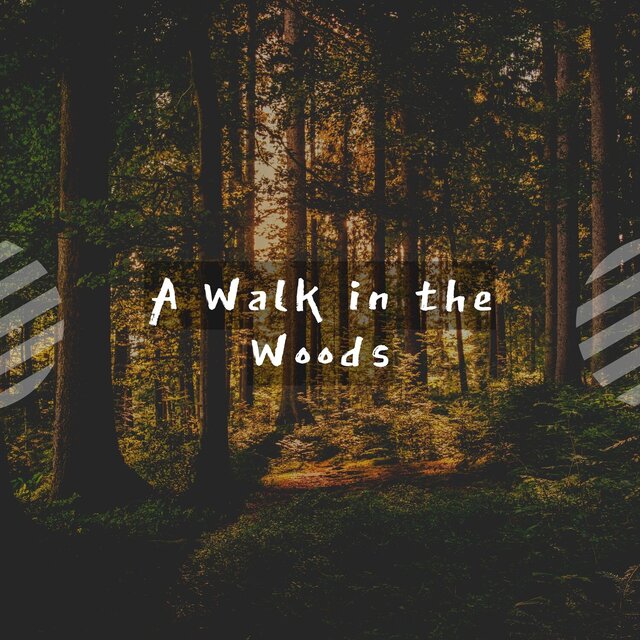 A Walk In The Woods Pt 7 By Chillout Lounge On TIDAL a-walk-in-the-woods-pt-7-by-chillout-lounge-on-tidal