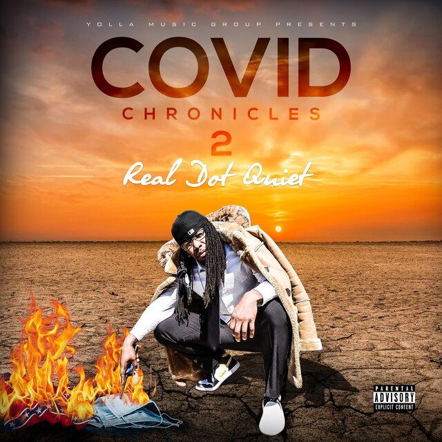 Covid Chronicles 2