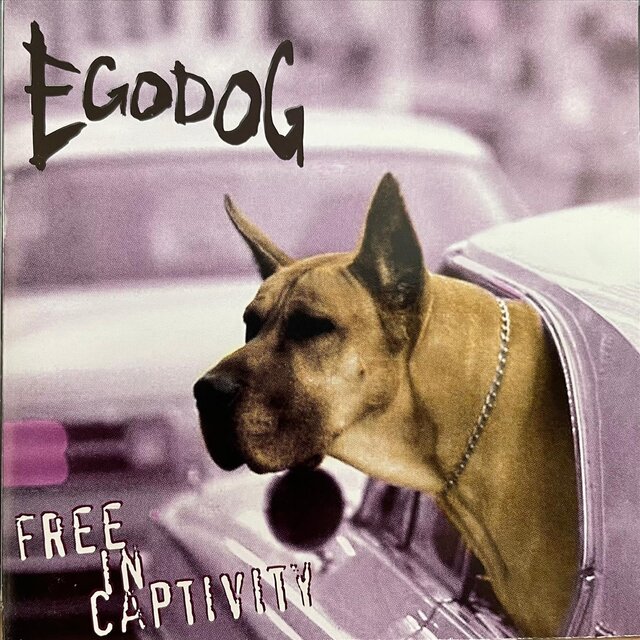 Free in Captivity