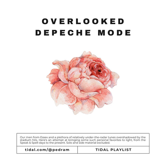 OVERLOOKED DEPECHE MODE
