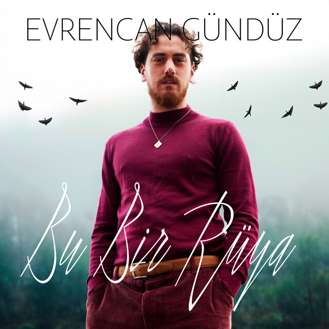 Bu Bir Rüya