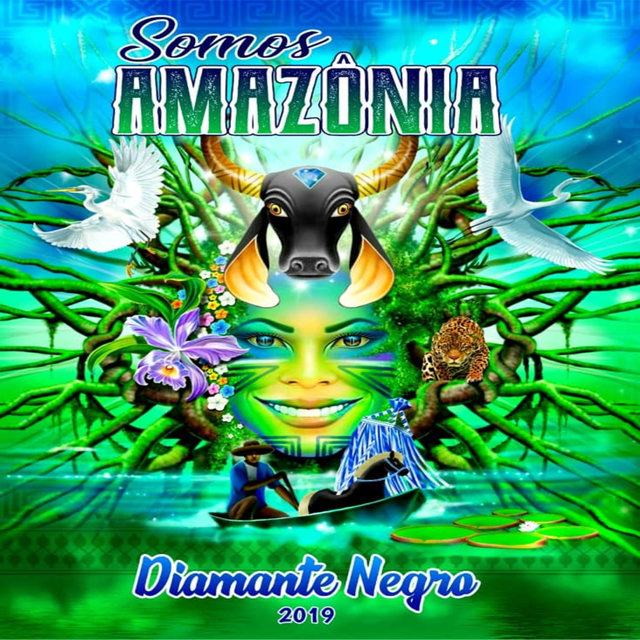Somos Amazônia