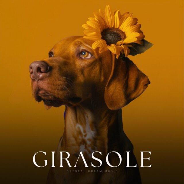 Girasole
