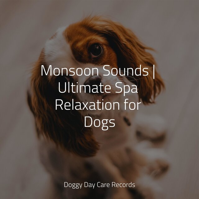 Monsoon Sounds | Ultimate Spa Relaxation for Dogs