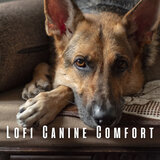 Pawsome Music for Active Dogs