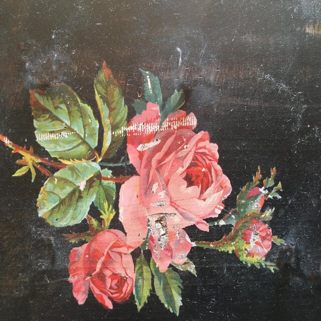 Roses