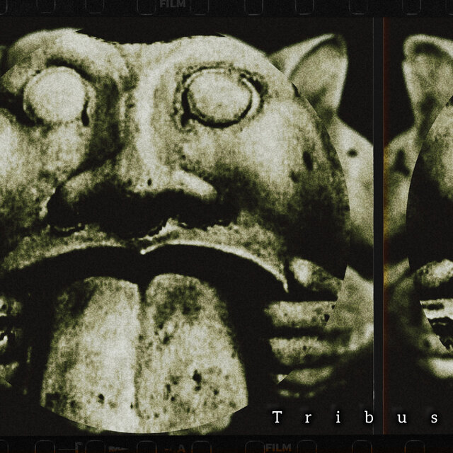 Tribus