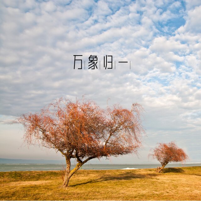 万象归一