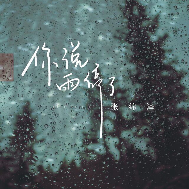 你说雨停了