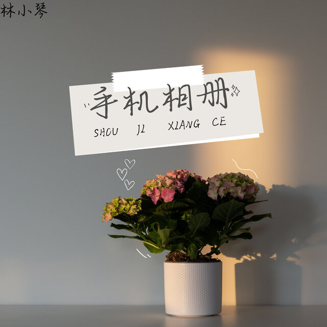 手机相册