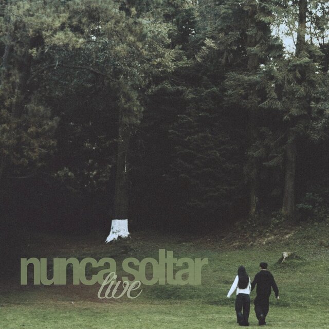 Nunca soltar (Live)