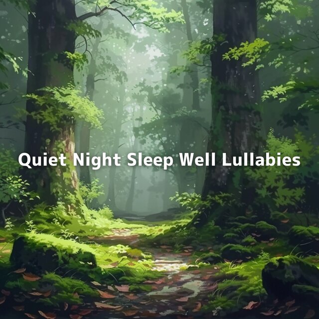 Quiet Night Sleep Well Lullabies