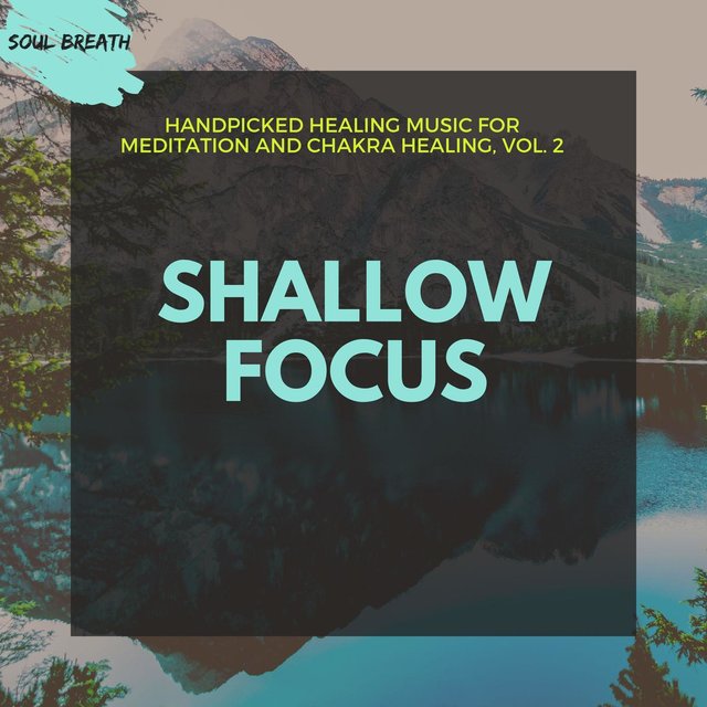 Shallow Focus - Handpicked Healing Music For Meditation And Chakra Healing, Vol. 2