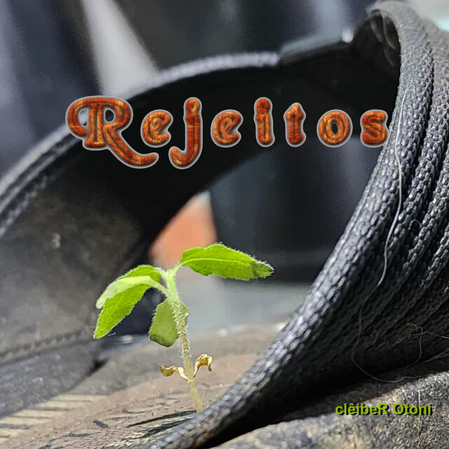 Rejeitos
