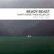 Cover art for album Beady Beast by Christy Doran, Franz Hellmüller