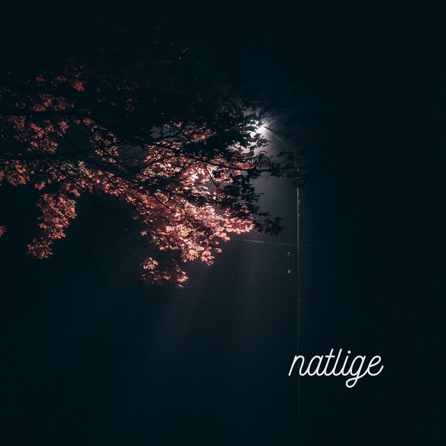 Natlige