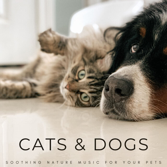 Cats & Dogs: Soothing Nature Music For Your Pets