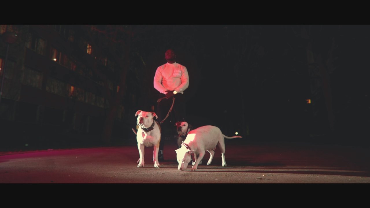 Hors de ma vue (Clip officiel)