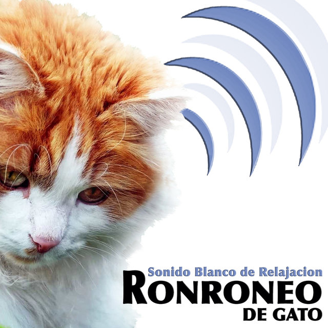 Sonido Blanco de Relajacion. Ronroneo de Gato