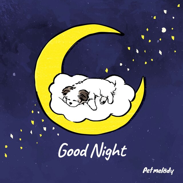 Separation anxiety, Healing, Lullaby For Pups