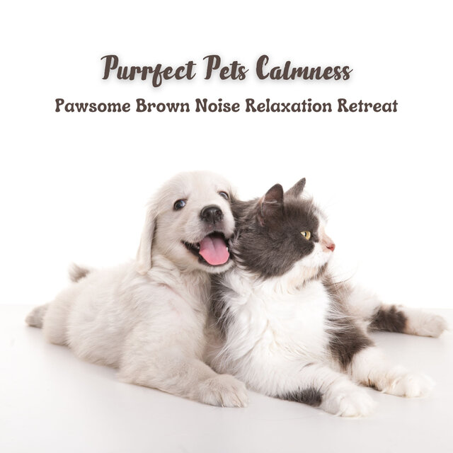 Purrfect Pets Calmness: Pawsome Brown Noise Relaxation Retreat
