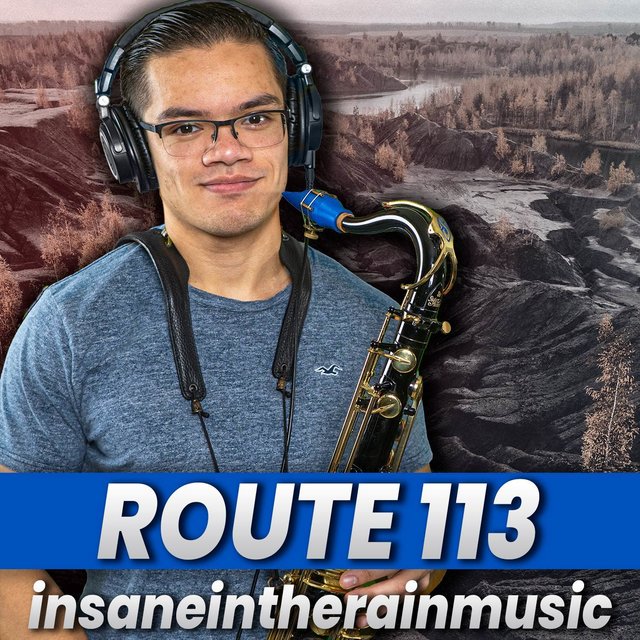 Route 113 (from 