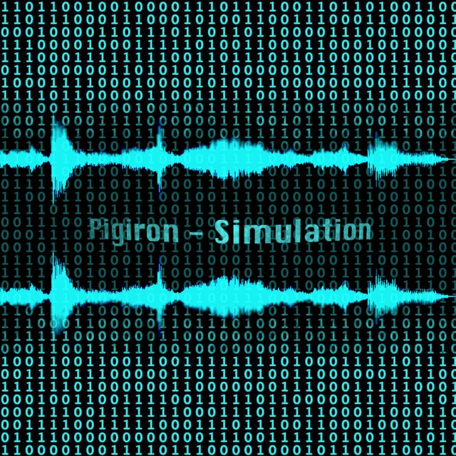 Simulation