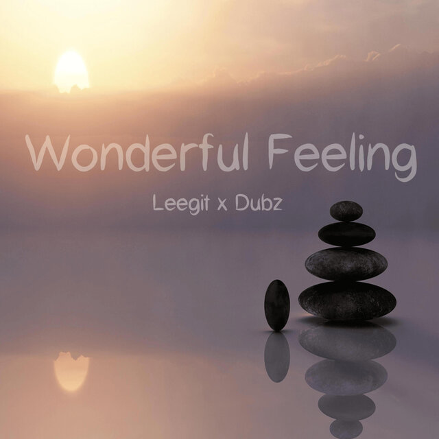 Wonderul Feeling (feat. Leegit)