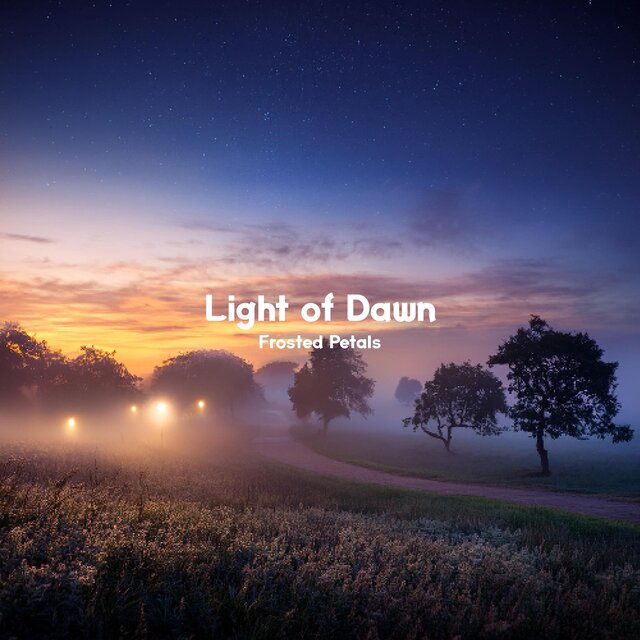 Light of Dawn