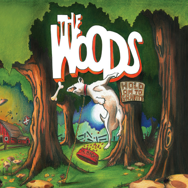 Cover art for album Hold On To Gravity by The Woods