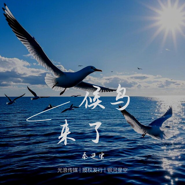 候鳥來了