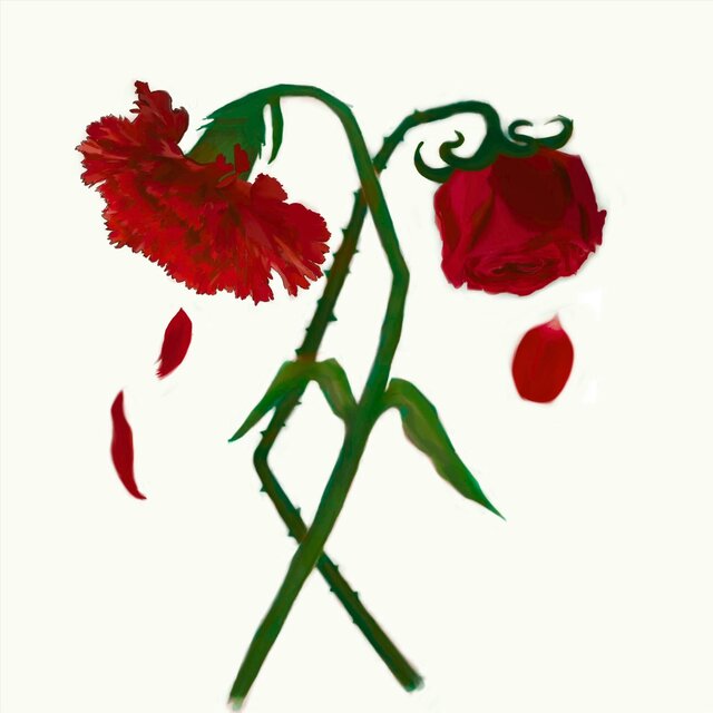 O Cravo e A Rosa