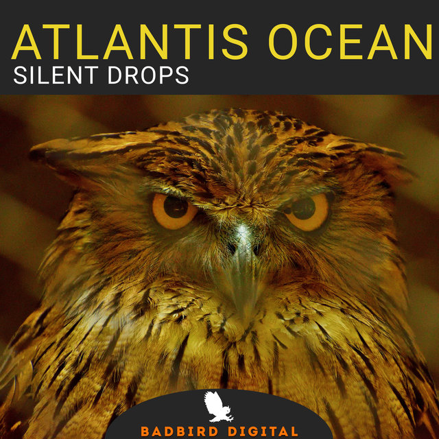 Silent Drops