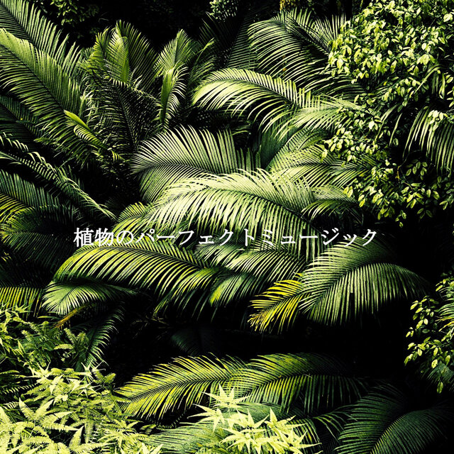 植物のパーフェクトミュージック