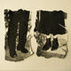 Cover art for album Standing In your Way by The Genevieves