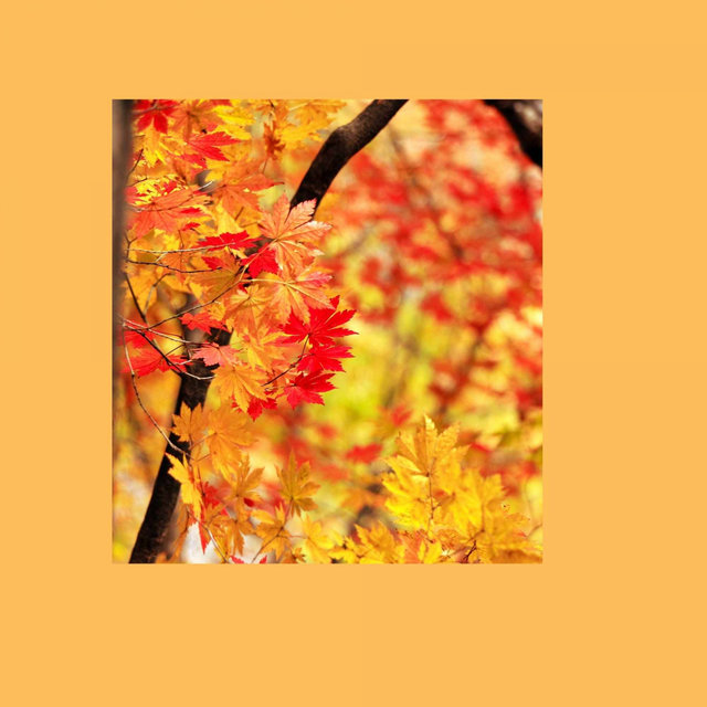 Music for Rejuvenating Seasons