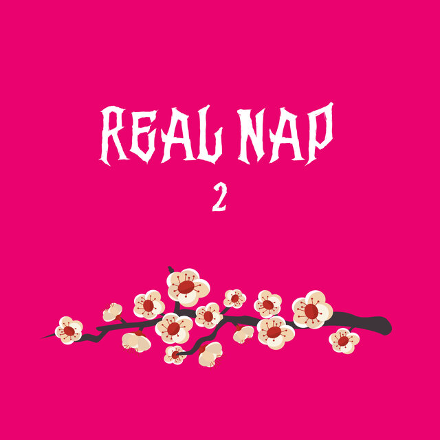 Real Nap 2