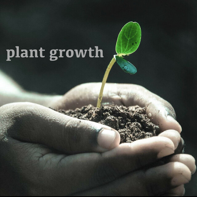 Music for Plants: Green Life